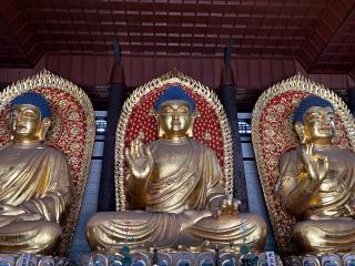 川会山 成就院 長楽寺(但馬大仏)の参拝記録(カズさん)