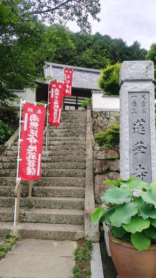 蓮華寺の参拝記録(tonococoさん)