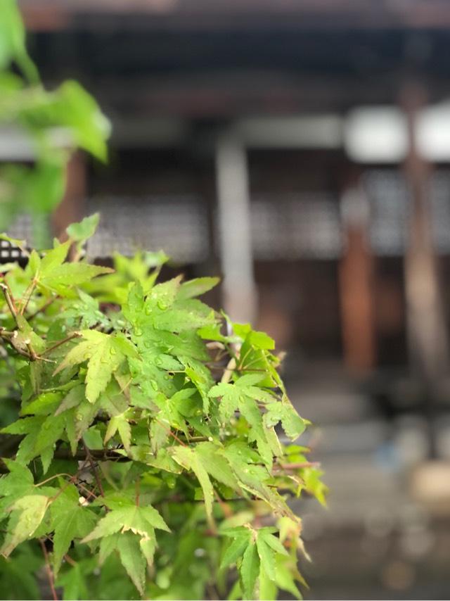 大雲山 泉流寺の参拝記録1