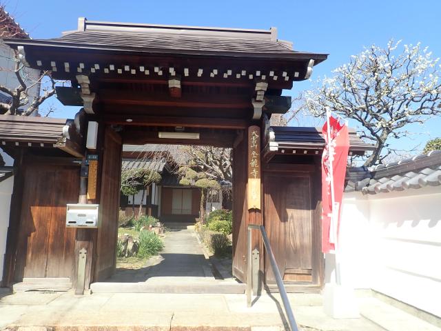 金龍寺の写真1