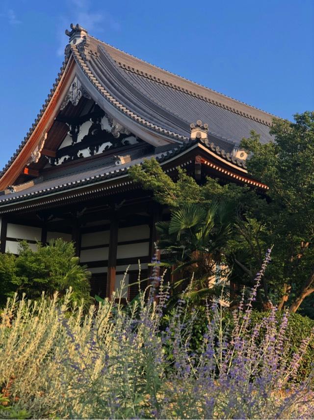 出雲路山 毫摂寺(毫攝寺、小浜御坊・小浜城跡)の参拝記録2