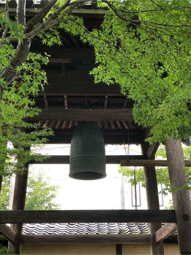出雲路山 毫摂寺(毫攝寺、小浜御坊・小浜城跡)の参拝記録1