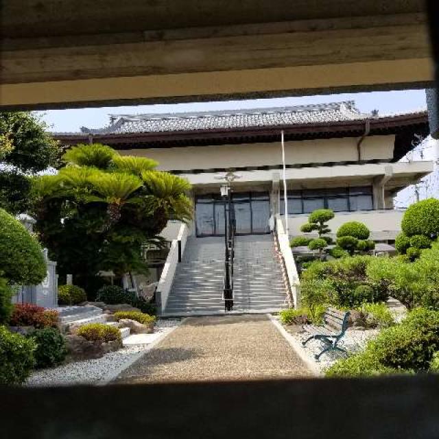 兵庫県宝塚市星の荘31-1 光圓寺の写真2