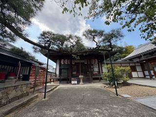 観音院（中山寺塔頭）の参拝記録(ととるしさん)