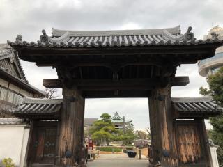 月照寺の参拝記録(あんどれさん)