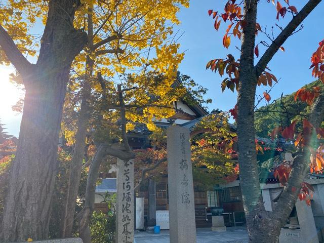 須磨寺 桜寿院の参拝記録(ルルさん)