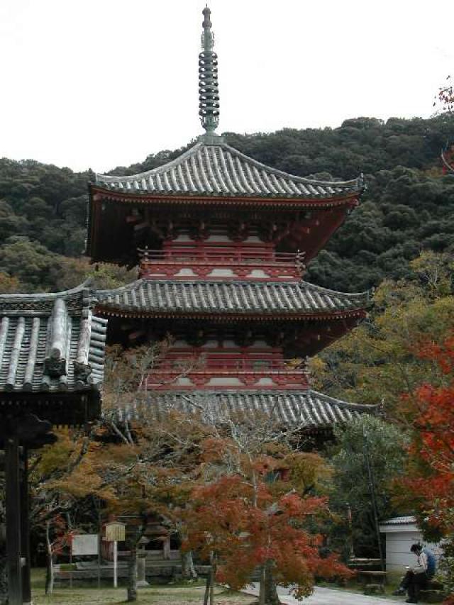 兵庫県神戸市西区伊川谷町前開224 三身山 太山寺の写真3