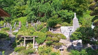 大樹院の参拝記録(ひろ神社仏閣さん)