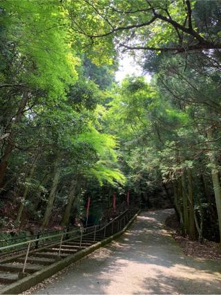 再度山 大龍寺の参拝記録(はまちゃんさん)