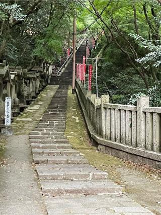 再度山 大龍寺の参拝記録(なやんさん)