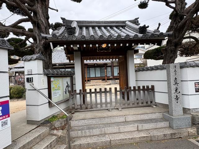 真光寺の写真1