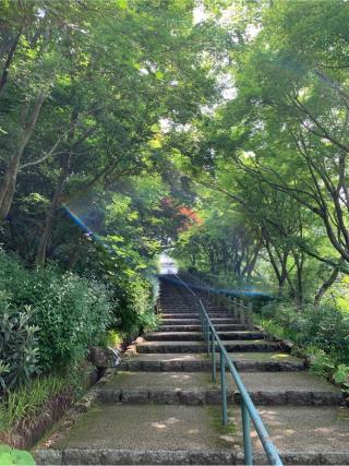 仏母摩耶山 忉利天上寺(摩耶山 天上寺)の参拝記録(はまちゃんさん)