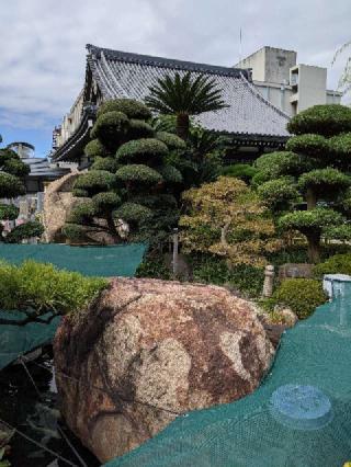 海向山 阿彌陀寺の参拝記録(つっちーさん)