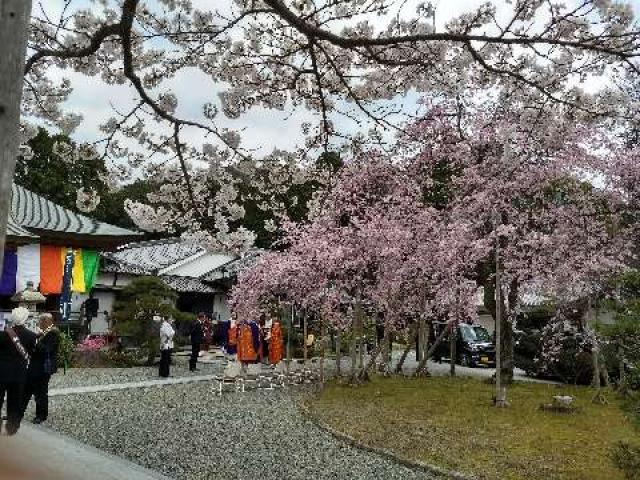 兵庫県神崎郡市川町北田中310 石妙寺の写真3