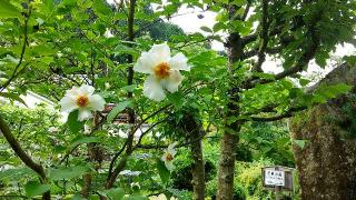 応聖寺の参拝記録(美智子さん)