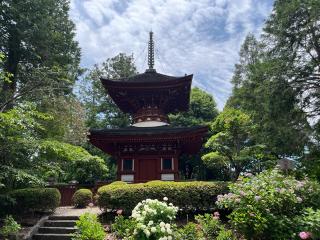 霊禅山 東塔院 久米寺の参拝記録(yubiさん)