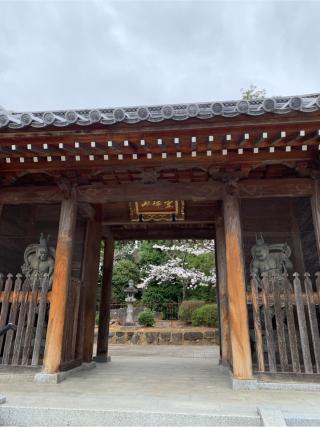 霊禅山 東塔院 久米寺の参拝記録(はまちゃんさん)