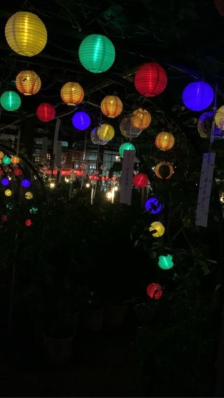 観音寺(おふさ観音)の参拝記録(はまちゃんさん)