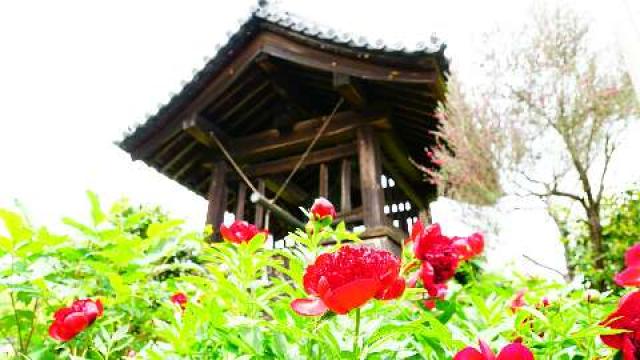 慈雲山 石光寺の参拝記録3