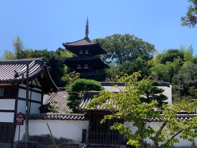奈良県葛城市當麻1263 二上山 當麻寺の写真9