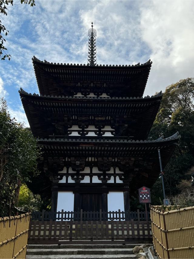 奈良県葛城市當麻1263 二上山 當麻寺の写真10