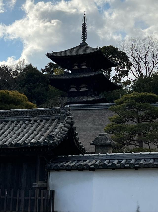奈良県葛城市當麻1263 二上山 當麻寺の写真11