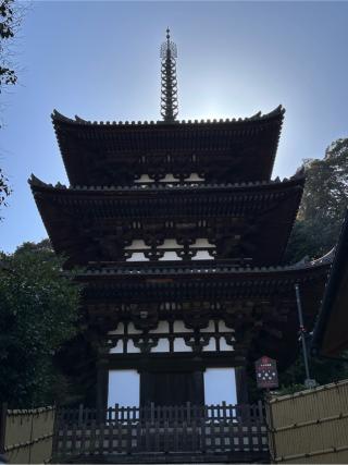 二上山 當麻寺の参拝記録(WAVEさん)