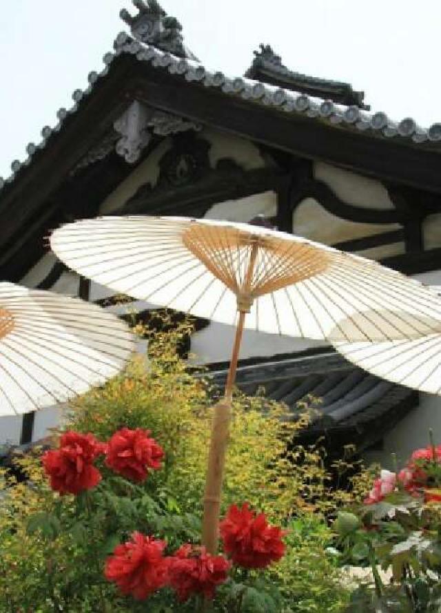 奈良県葛城市當麻1263 二上山 當麻寺の写真2