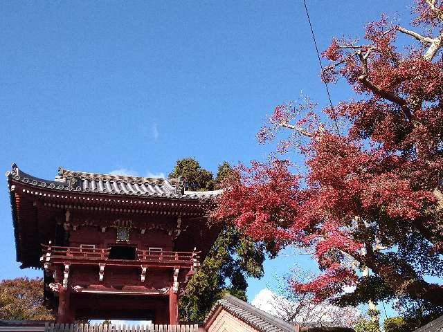 當麻寺奥院の参拝記録3