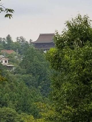 妙法寺(吉野中僧伽)の参拝記録(ふみにゃんさん)