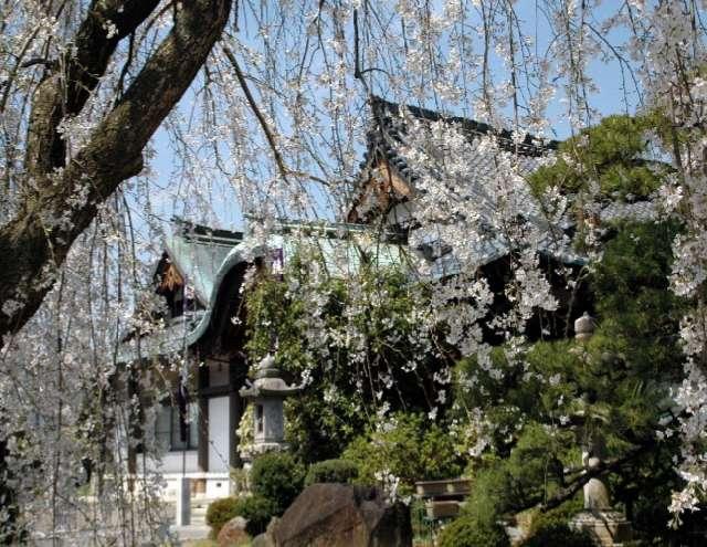奈良県香芝市上中601 妙見山 法覺院の写真2