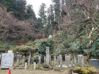 東光山 岡寺(龍蓋寺)(西国第七番)の参拝記録(じゅん。さん)