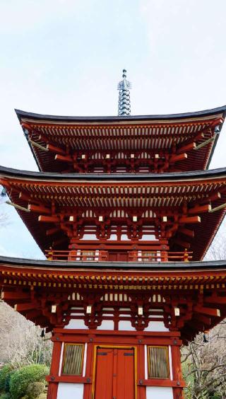 東光山 岡寺(龍蓋寺)(西国第七番)の参拝記録(布袋大国さん)
