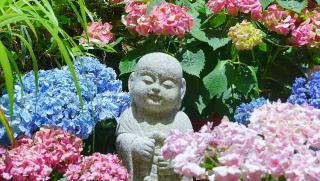 東光山 岡寺(龍蓋寺)(西国第七番)の参拝記録(布袋大国さん)