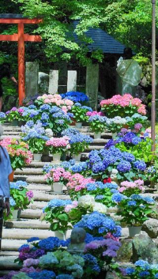 東光山 岡寺(龍蓋寺)(西国第七番)の参拝記録(布袋大国さん)