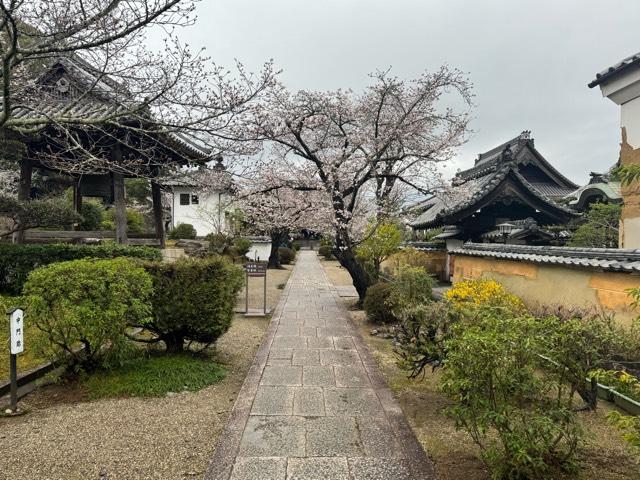 仏頭山 上宮皇院 橘寺の参拝記録10