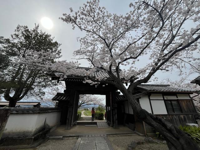 仏頭山 上宮皇院 橘寺の参拝記録10