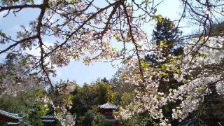 平等寺の参拝記録(ひろ神社仏閣さん)