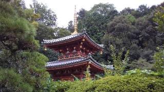 平等寺の参拝記録(ひろ神社仏閣さん)