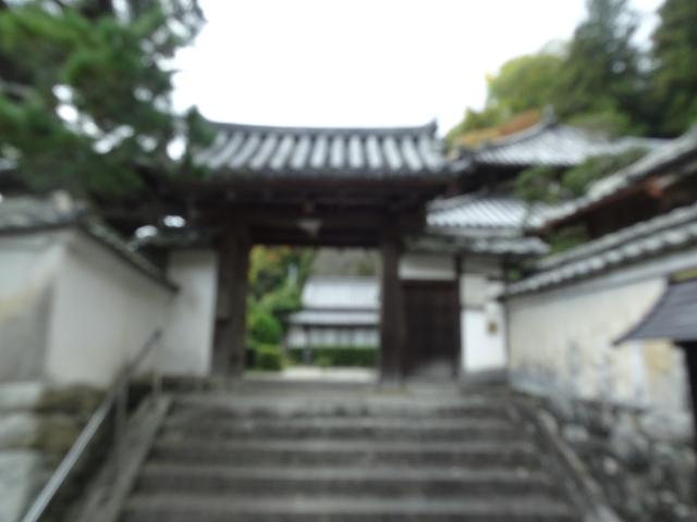 奈良県桜井市初瀬1100 崇蓮寺（日向寺）の写真3