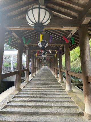 豊山 神楽院 長谷寺（西国第八番）の参拝記録(たつさん)