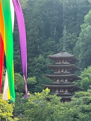 豊山 神楽院 長谷寺（西国第八番）の参拝記録(ヒデさん)