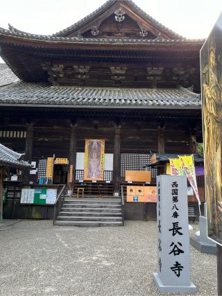 豊山 神楽院 長谷寺（西国第八番）の参拝記録(ヒデさん)