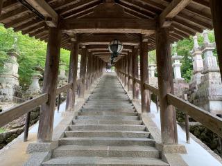 豊山 神楽院 長谷寺（西国第八番）の参拝記録(ヒデさん)