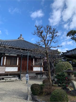 中宮寺の参拝記録(はまちゃんさん)