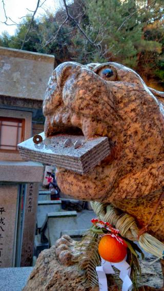 多聞院（信貴山奥之院）の参拝記録(miyaさん)