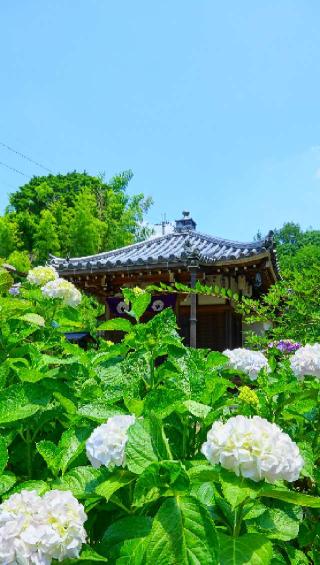 長弓寺の参拝記録(布袋大国さん)