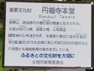 圓福寺の参拝記録(ふみにゃんさん)