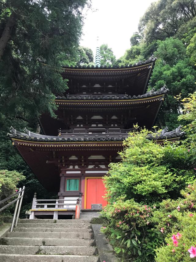 奈良県大和郡山市683 松尾寺の写真3