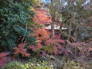 釜の口山 長岳寺の参拝記録(NTKさん)